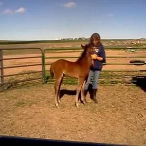 Meet your Posher, Shari